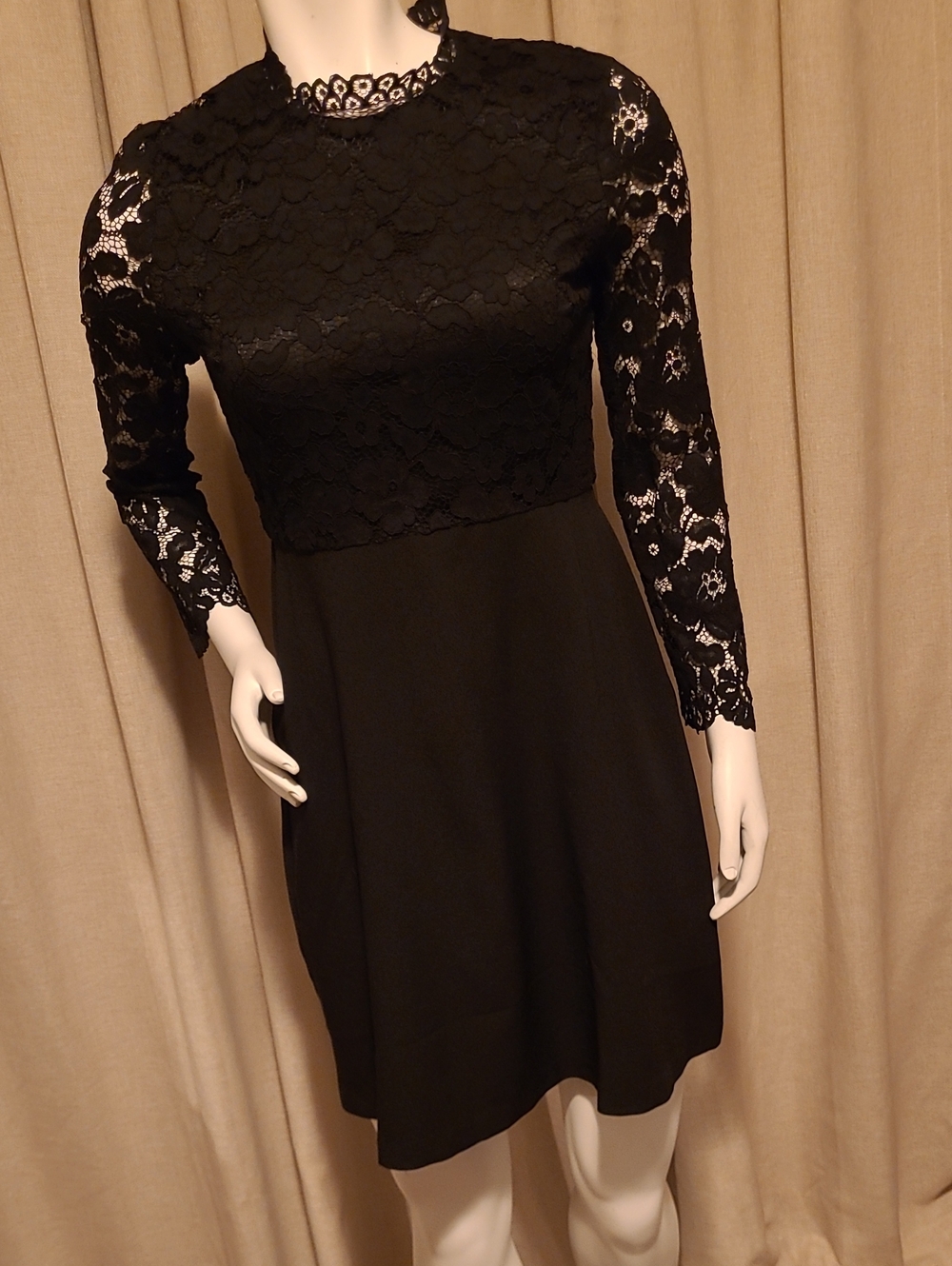 Lark & Ro Black Lace Long-Sleeve A-Line Dress